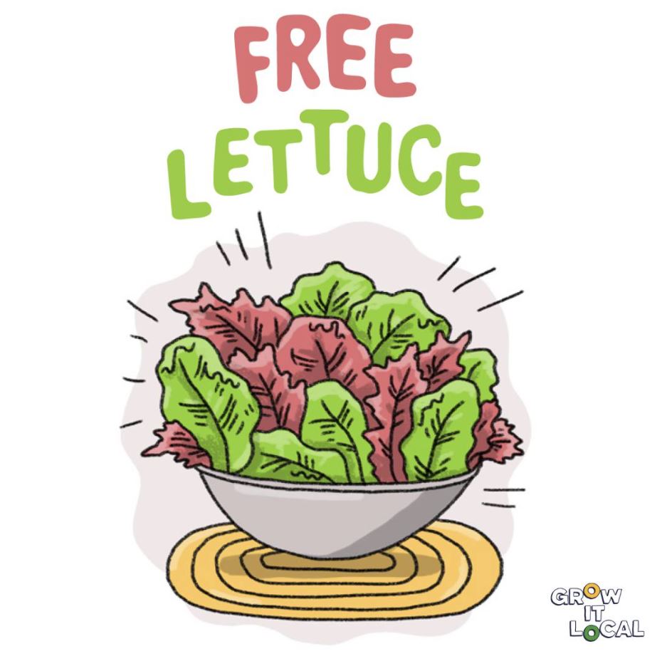 Free Seed Service