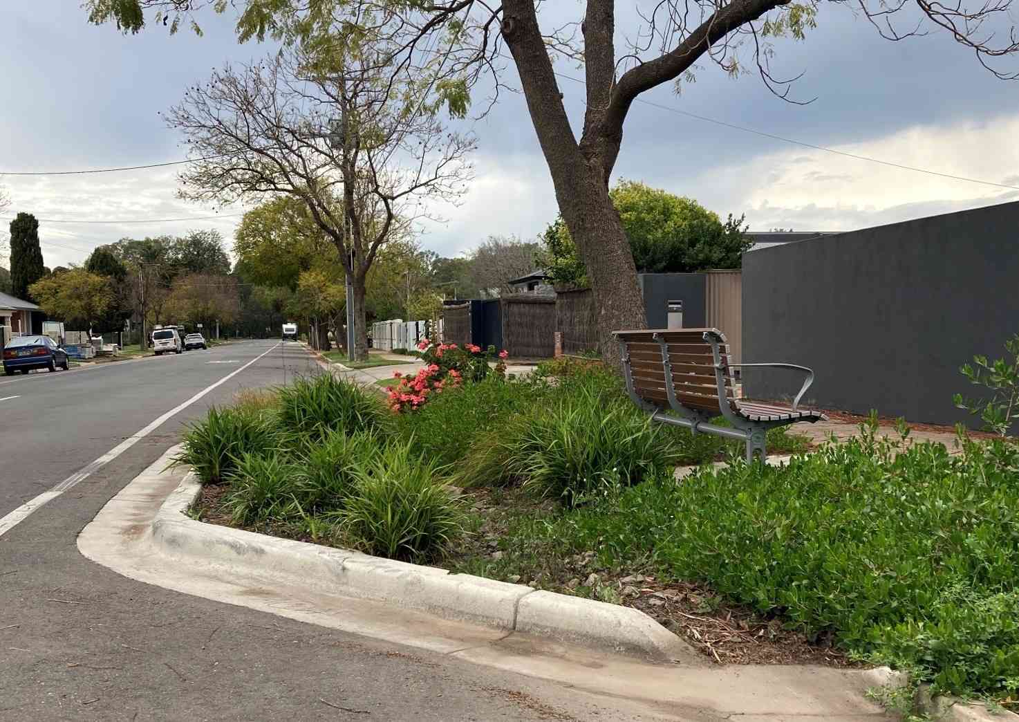Lansdowne Terrace Raingarden