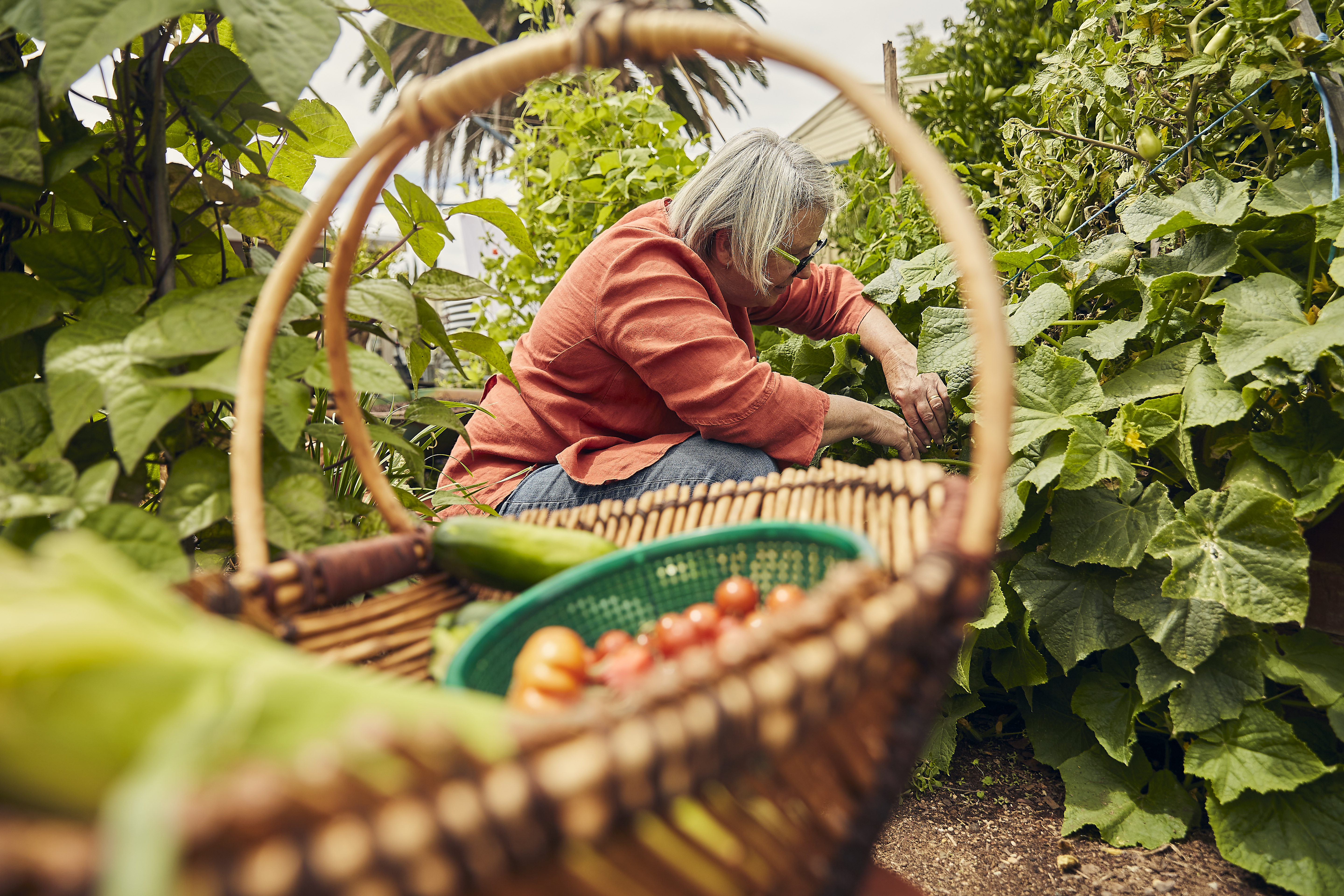 Grow it Local gardener