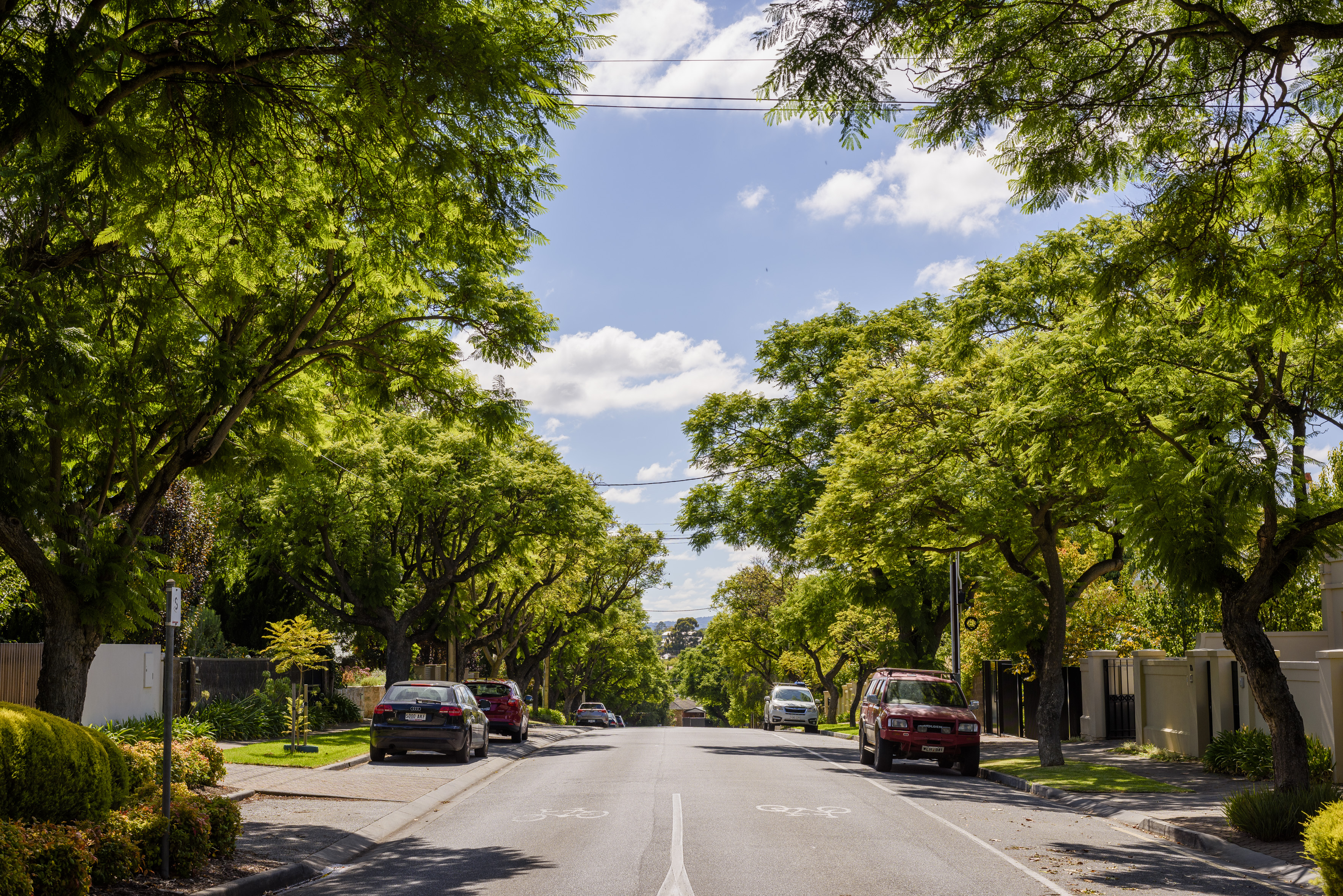 Cars on a local street