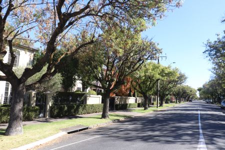 Photo of Dutton Terrace