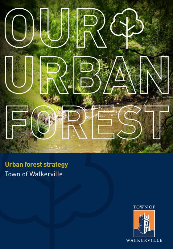Urban Forest Strategy - cover