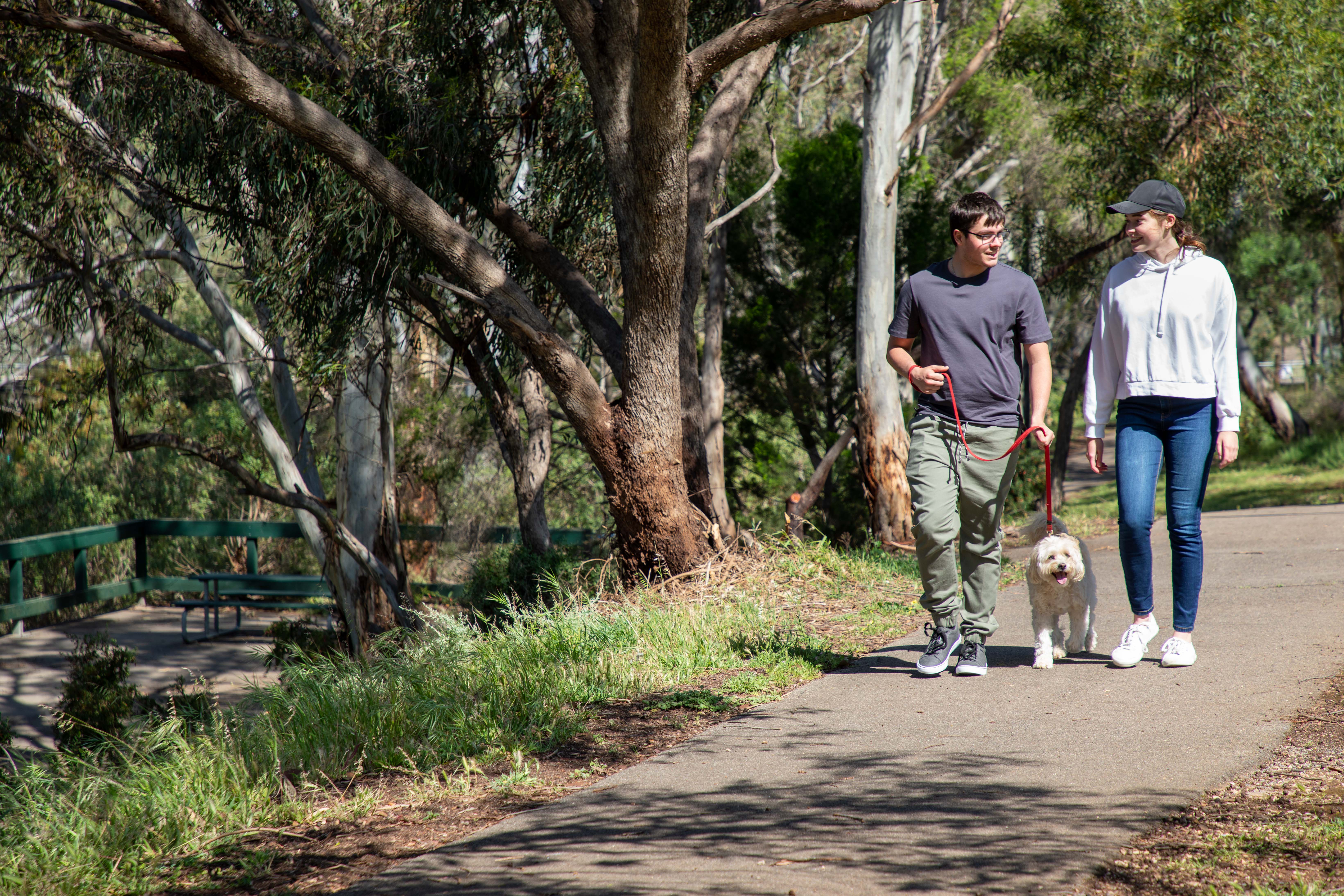 Dog walking along Linear Park