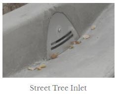 Street Tree Inlet
