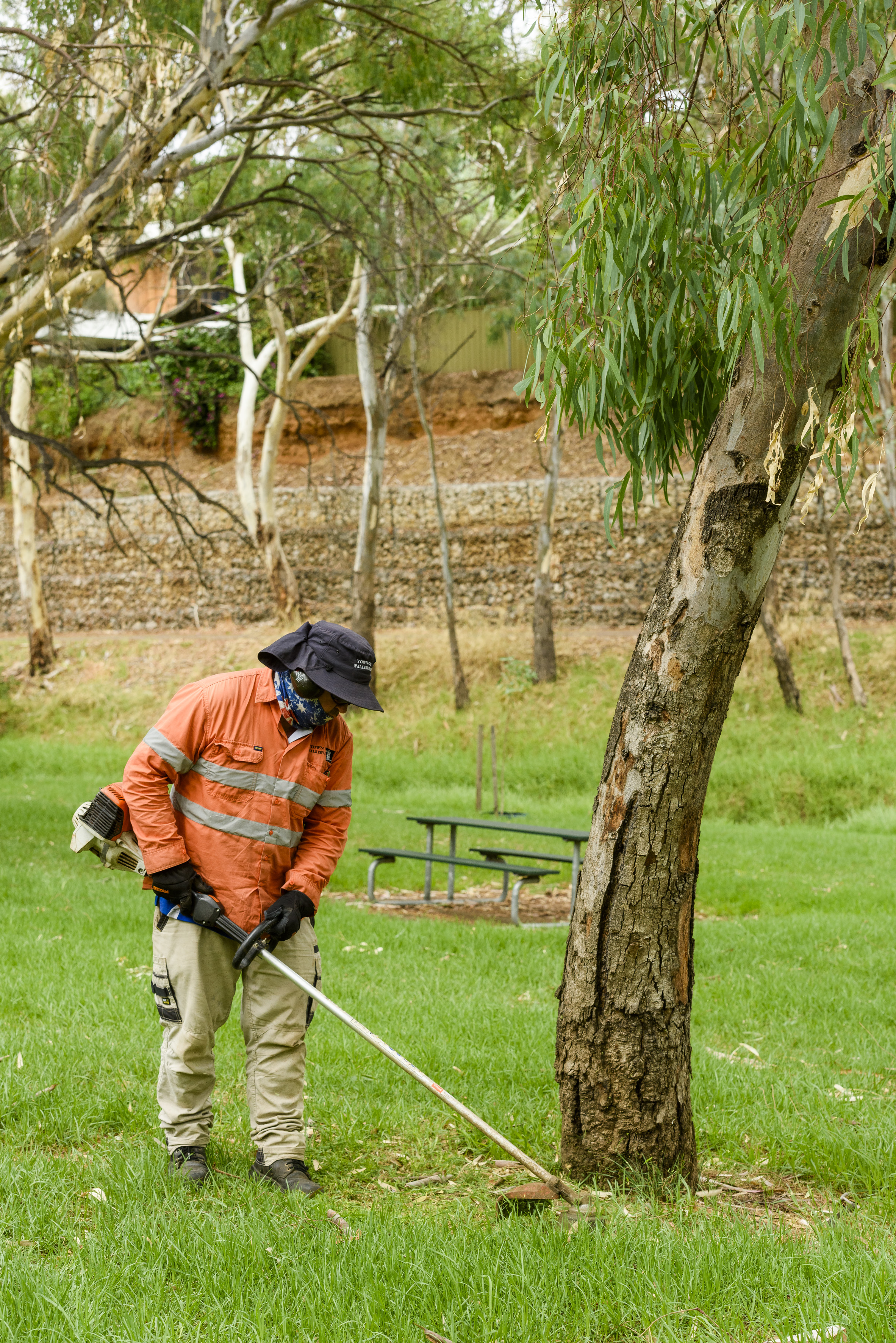 Person cutting down weeds